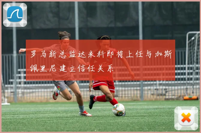 罗马新总监达米科即将上任与加斯佩里尼建立信任关系